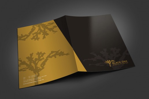 Image showing a preview of Black Oak Minerals brochure that Elites Wave designed.